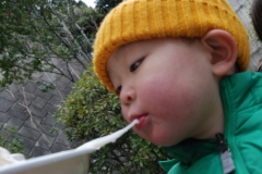 papakai30_DSC_0114