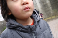 papakai30_DSC_0270
