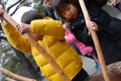 papakai30_DSC_0301