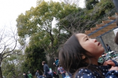 papakai30_DSC_0371
