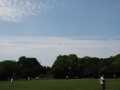papakai15_DSC_0382.JPG