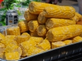 papakai16_DSC_0312