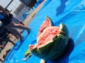 papakai16_DSC_0705