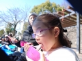 papakai_24_DSC_0181
