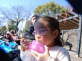 papakai_24_DSC_0182