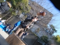 papakai_24_DSC_0229