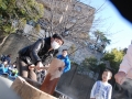 papakai_24_DSC_0242