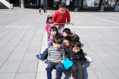 papakai_26_DSC_0009