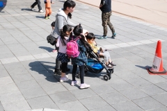 papakai_26_DSC_0102