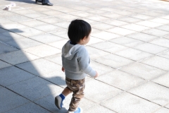 papakai_26_DSC_0139