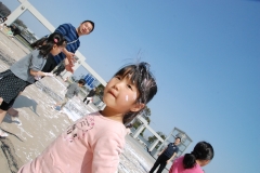 papakai_26_DSC_0481