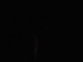 papakai_ex001_DSC_0778
