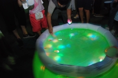 papakaiex8_DSC_0039